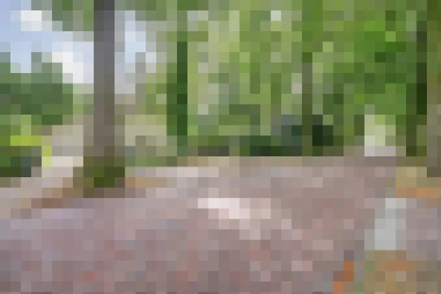 Laan 78 Nunspeet thumbnail 9