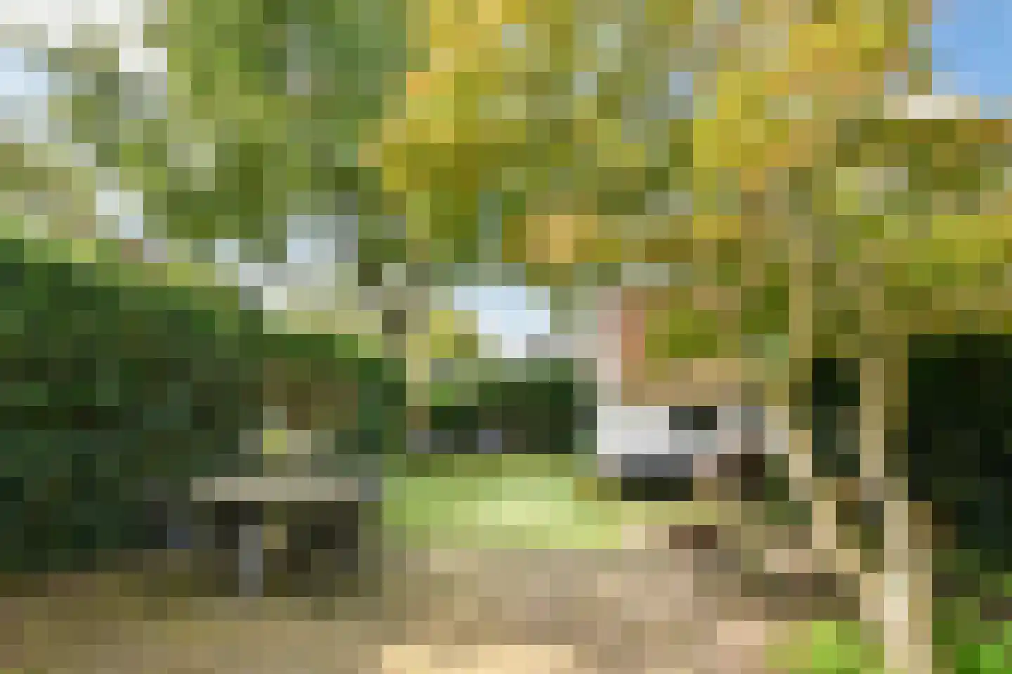 Laan 8 Broek in Waterland thumbnail 20