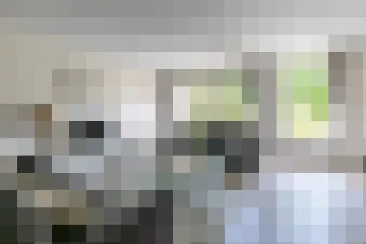 Laan Blussé van Oud Alblas 1 Soesterberg thumbnail 13