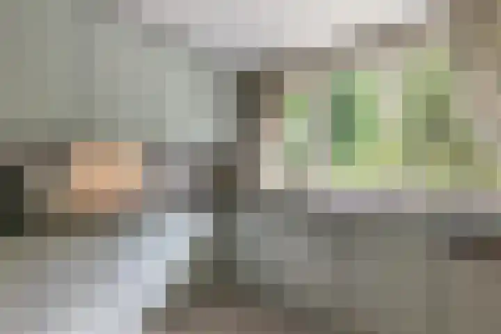Laan Blussé van Oud Alblas 1 Soesterberg thumbnail 15