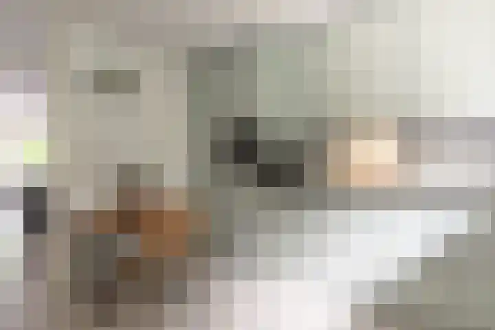 Laan Blussé van Oud Alblas 1 Soesterberg thumbnail 16