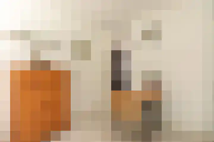 Laan Blussé van Oud Alblas 1 Soesterberg thumbnail 18