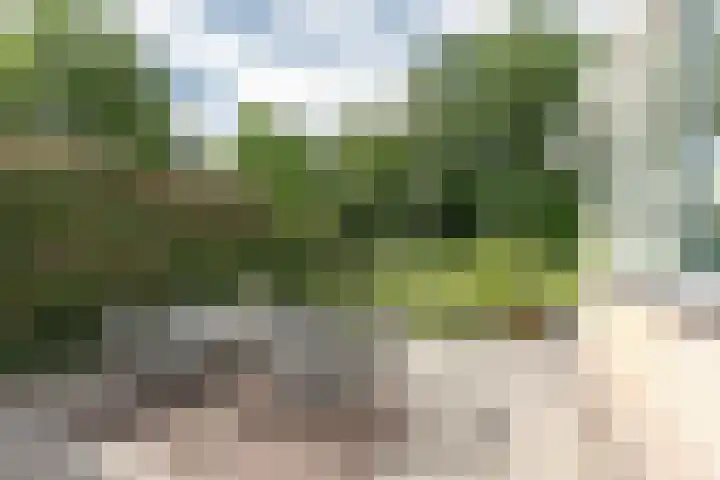 Laan Blussé van Oud Alblas 1 Soesterberg thumbnail 22