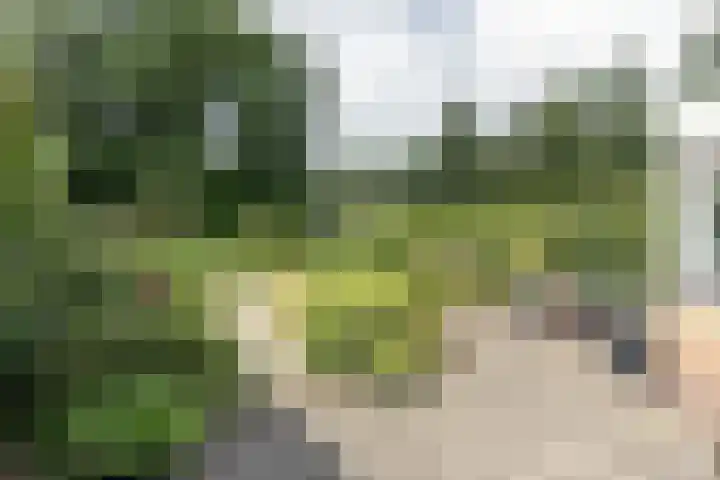 Laan Blussé van Oud Alblas 1 Soesterberg thumbnail 23