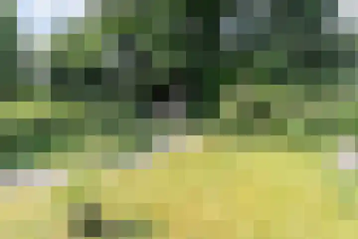 Laan Blussé van Oud Alblas 1 Soesterberg thumbnail 24