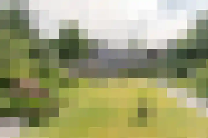 Laan Blussé van Oud Alblas 1 Soesterberg thumbnail 25