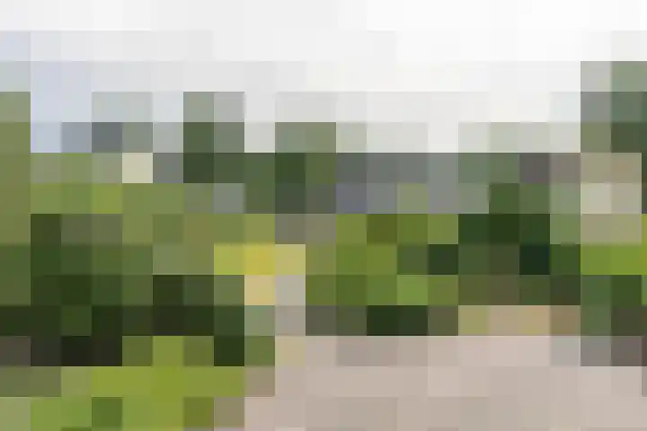 Laan Blussé van Oud Alblas 1 Soesterberg thumbnail 26