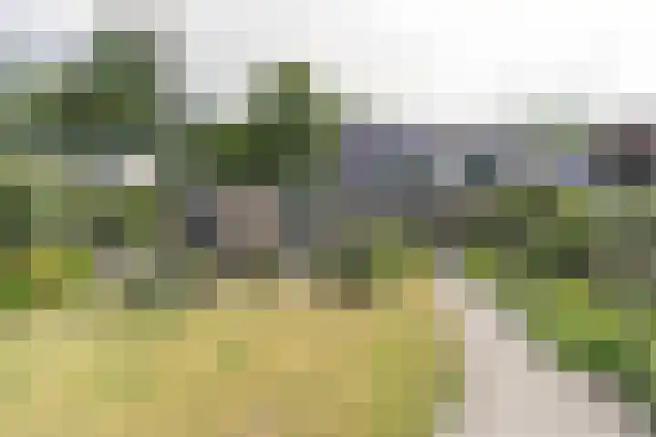 Laan Blussé van Oud Alblas 1 Soesterberg thumbnail 27
