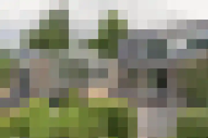 Laan Blussé van Oud Alblas 1 Soesterberg thumbnail 28