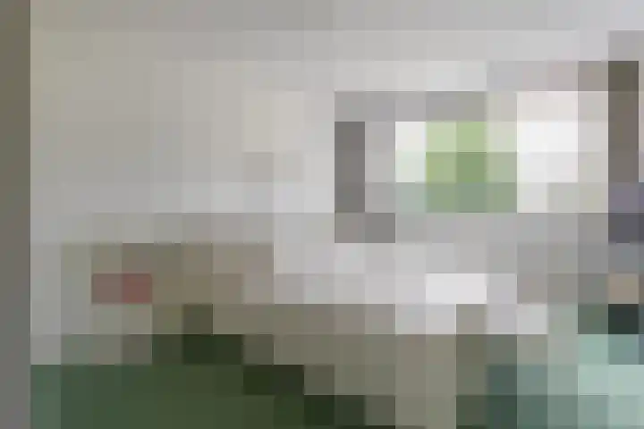 Laan Blussé van Oud Alblas 1 Soesterberg thumbnail 30