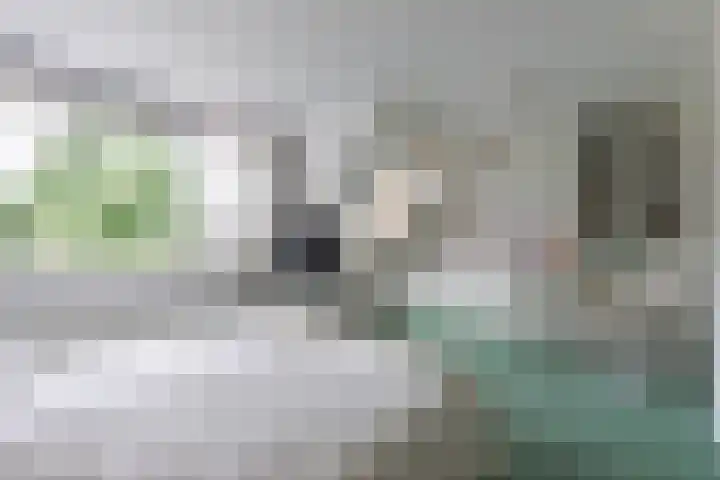 Laan Blussé van Oud Alblas 1 Soesterberg thumbnail 31
