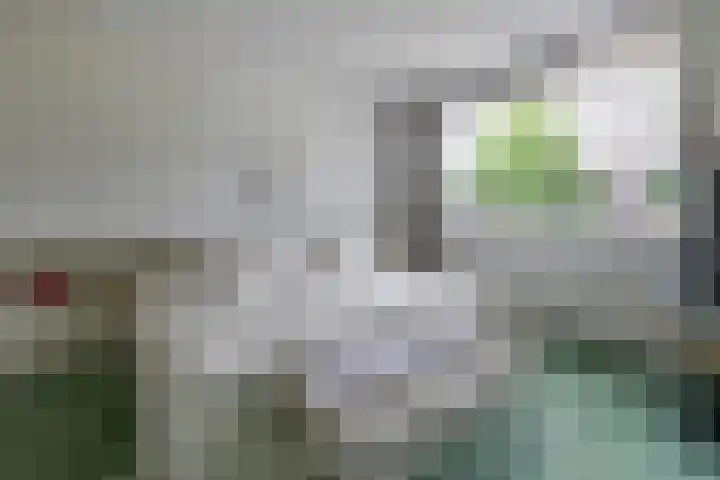 Laan Blussé van Oud Alblas 1 Soesterberg thumbnail 32