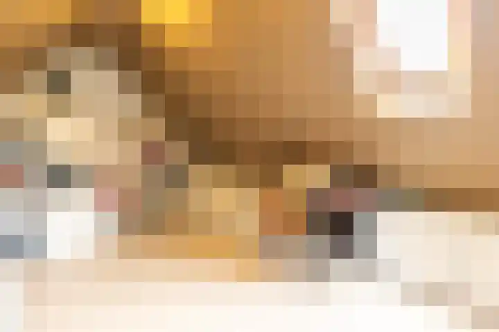 Laan Blussé van Oud Alblas 1 Soesterberg thumbnail 36