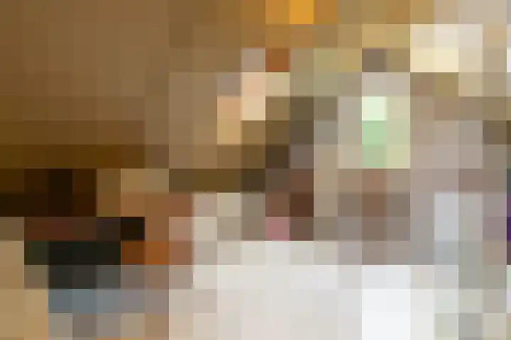 Laan Blussé van Oud Alblas 1 Soesterberg thumbnail 37