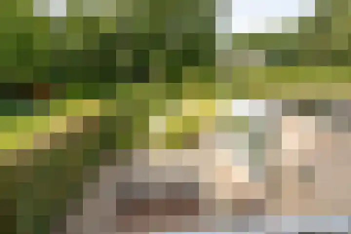 Laan Blussé van Oud Alblas 1 Soesterberg thumbnail 38