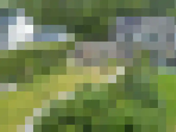 Laan Blussé van Oud Alblas 1 Soesterberg thumbnail 39
