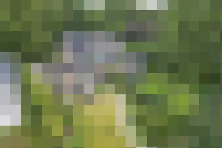 Laan Blussé van Oud Alblas 1 Soesterberg thumbnail 40