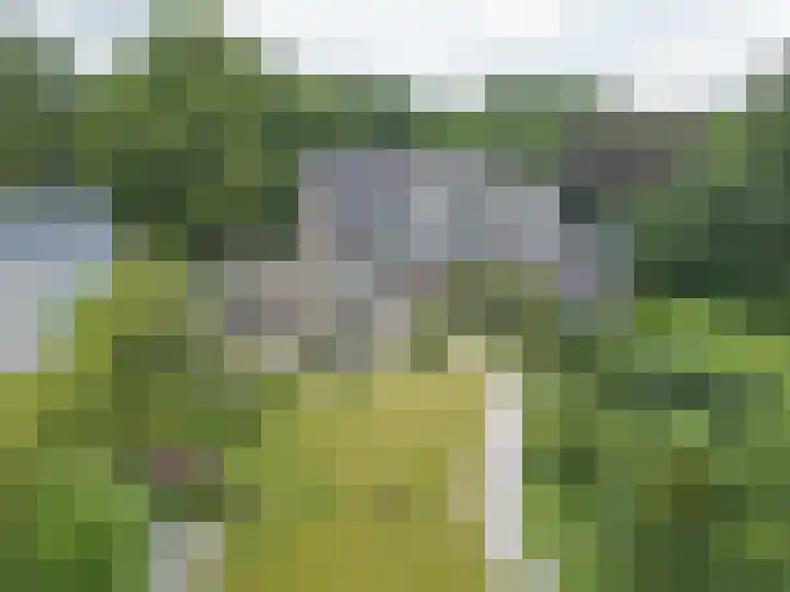 Laan Blussé van Oud Alblas 1 Soesterberg thumbnail 41