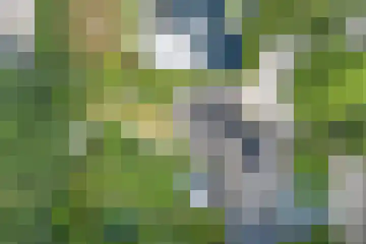 Laan Blussé van Oud Alblas 1 Soesterberg thumbnail 42