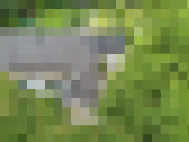 Laan Blussé van Oud Alblas 1 Soesterberg thumbnail 43