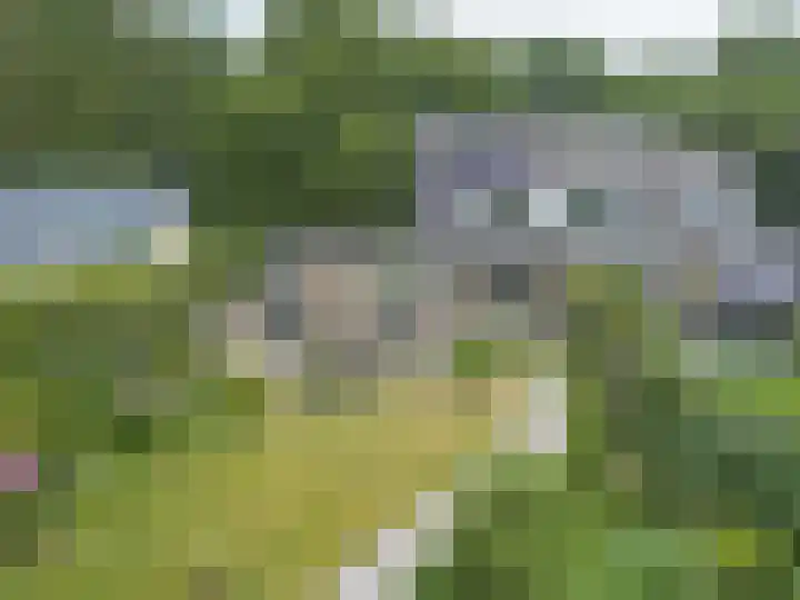 Laan Blussé van Oud Alblas 1 Soesterberg thumbnail 48