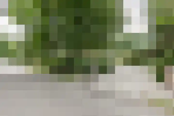 Laan Blussé van Oud Alblas 1 Soesterberg thumbnail 5