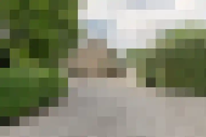 Laan Blussé van Oud Alblas 1 Soesterberg thumbnail 6