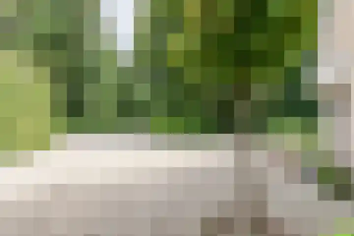 Laan Blussé van Oud Alblas 1 Soesterberg thumbnail 8