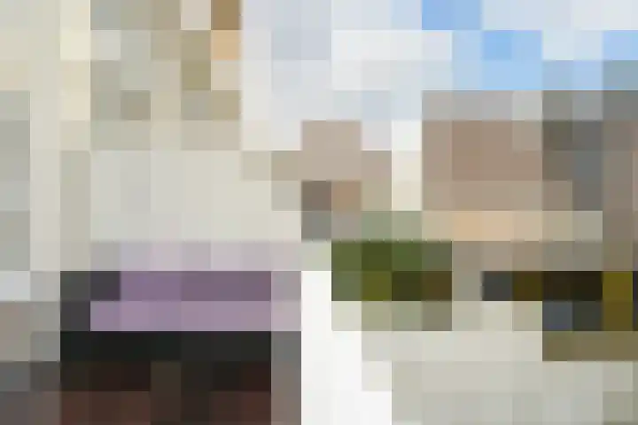 Laan Copes van Cattenburch 44 C Den Haag thumbnail 37