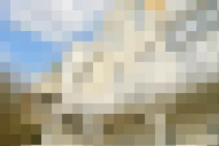 Laan Copes van Cattenburch 44 C Den Haag thumbnail 41