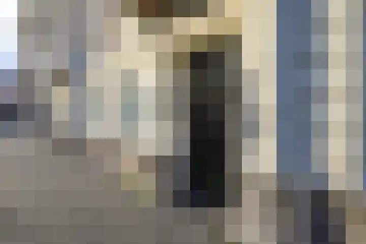 Laan Copes van Cattenburch 44 C Den Haag thumbnail 6