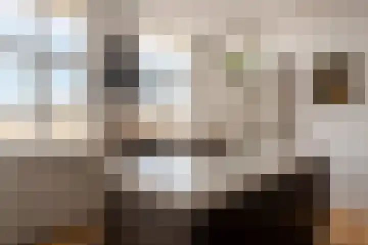 Laan Copes van Cattenburch 44 E Den Haag thumbnail 15
