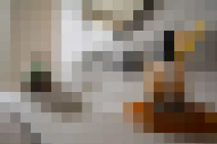 Laan Copes van Cattenburch 44 E Den Haag thumbnail 48
