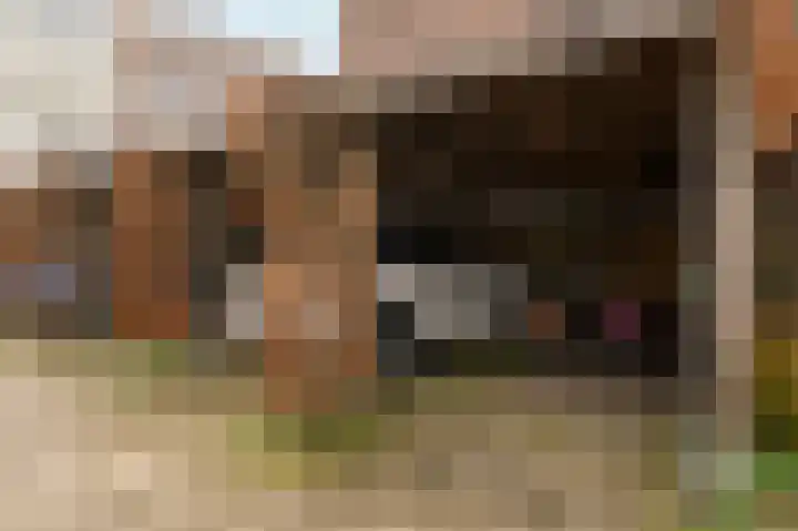 Laan Copes van Cattenburch 44 E Den Haag thumbnail 51