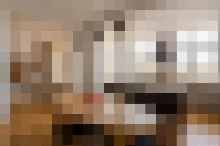 Laan Copes van Cattenburch 44 E Den Haag thumbnail 6