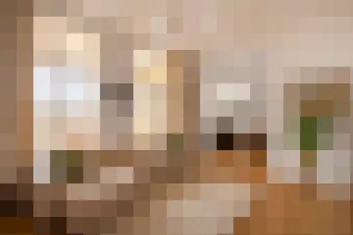 Laan Copes van Cattenburch 44 E Den Haag thumbnail 9