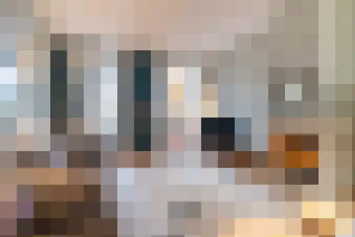 Laan Copes van Cattenburch 44 F Den Haag thumbnail 28