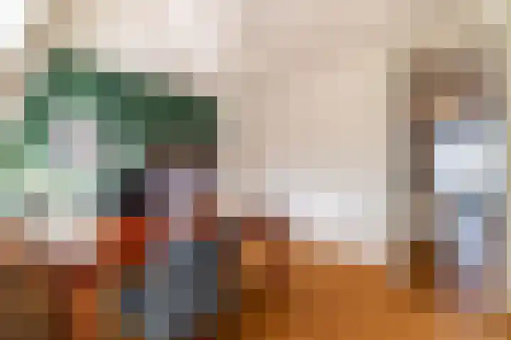 Laan Copes van Cattenburch 44 F Den Haag thumbnail 33