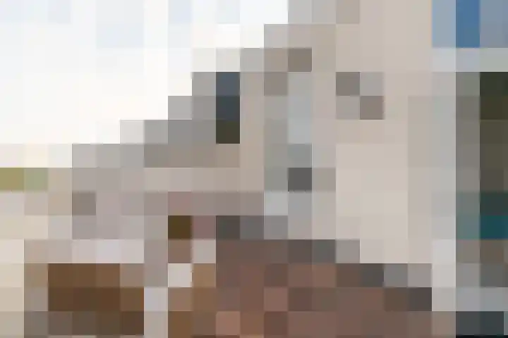 Laan Copes van Cattenburch 44 F Den Haag thumbnail 46
