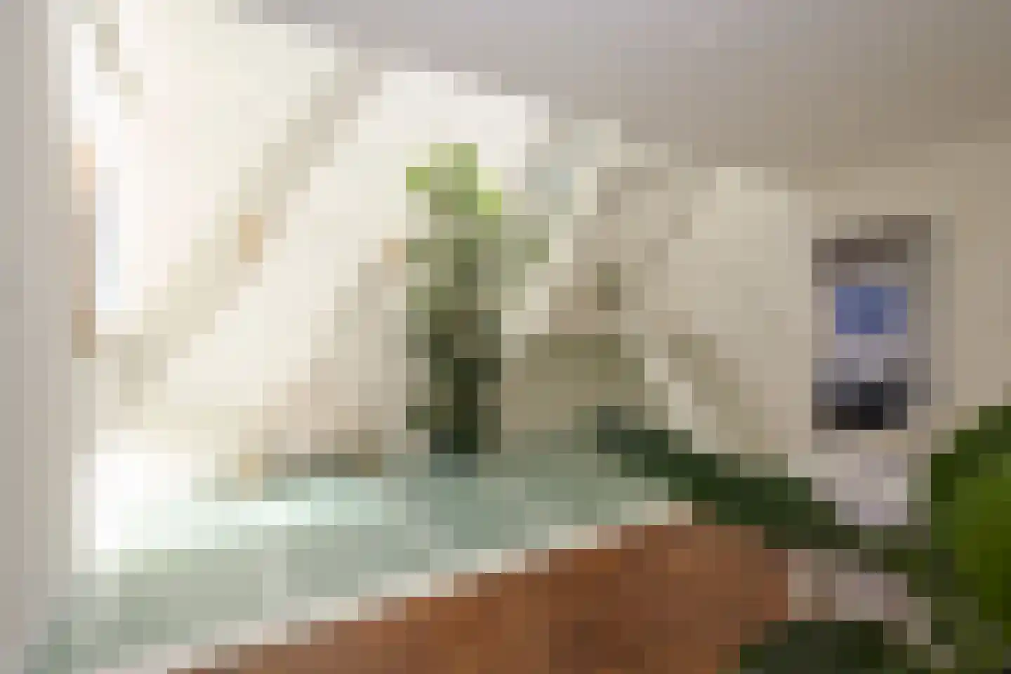 Laan Copes van Cattenburch 46 C Den Haag thumbnail 15