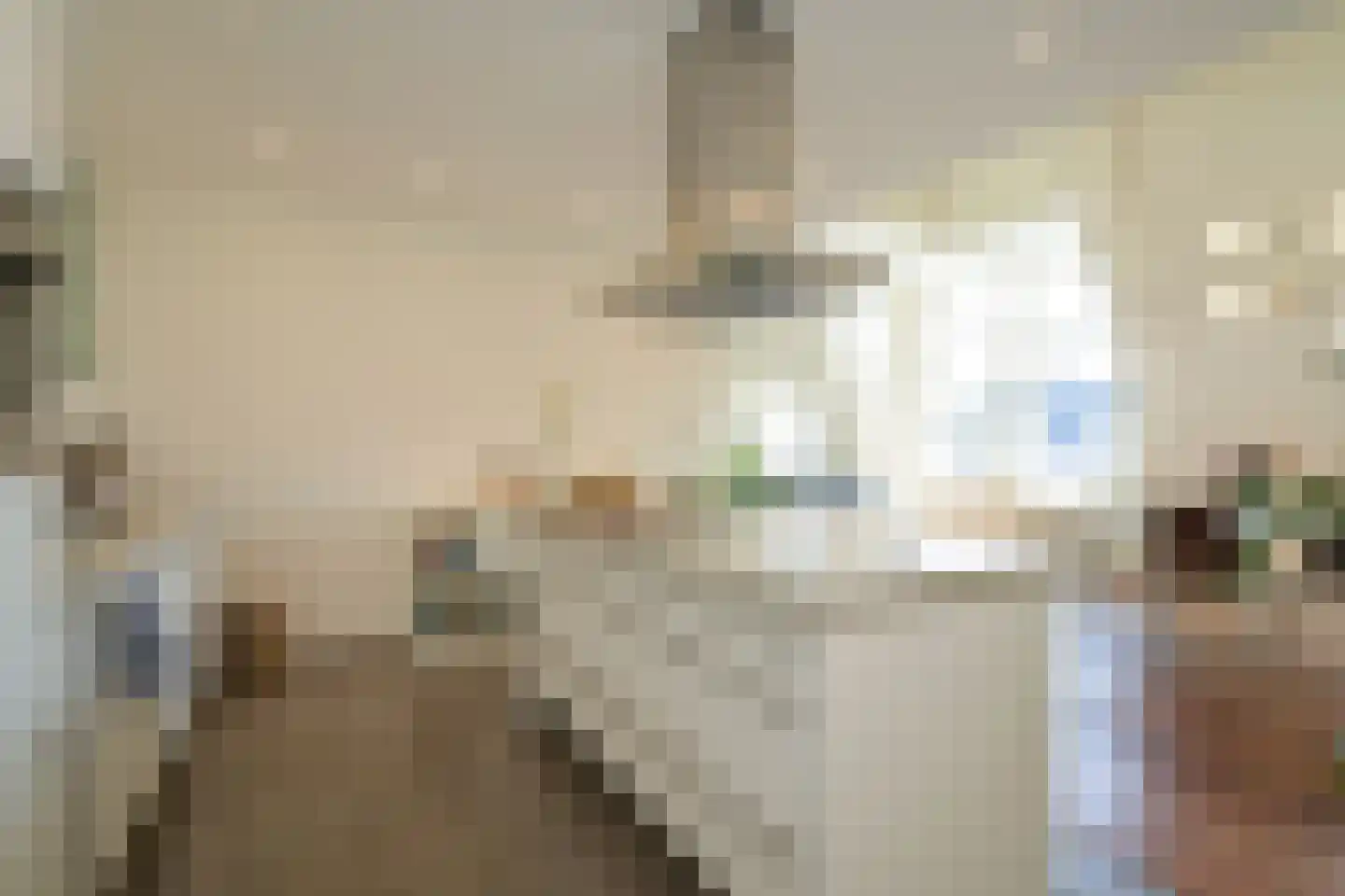 Laan Copes van Cattenburch 46 C Den Haag thumbnail 29