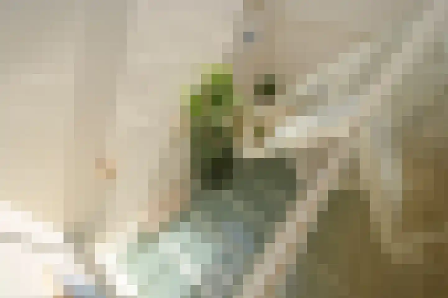 Laan Copes van Cattenburch 46 C Den Haag thumbnail 47