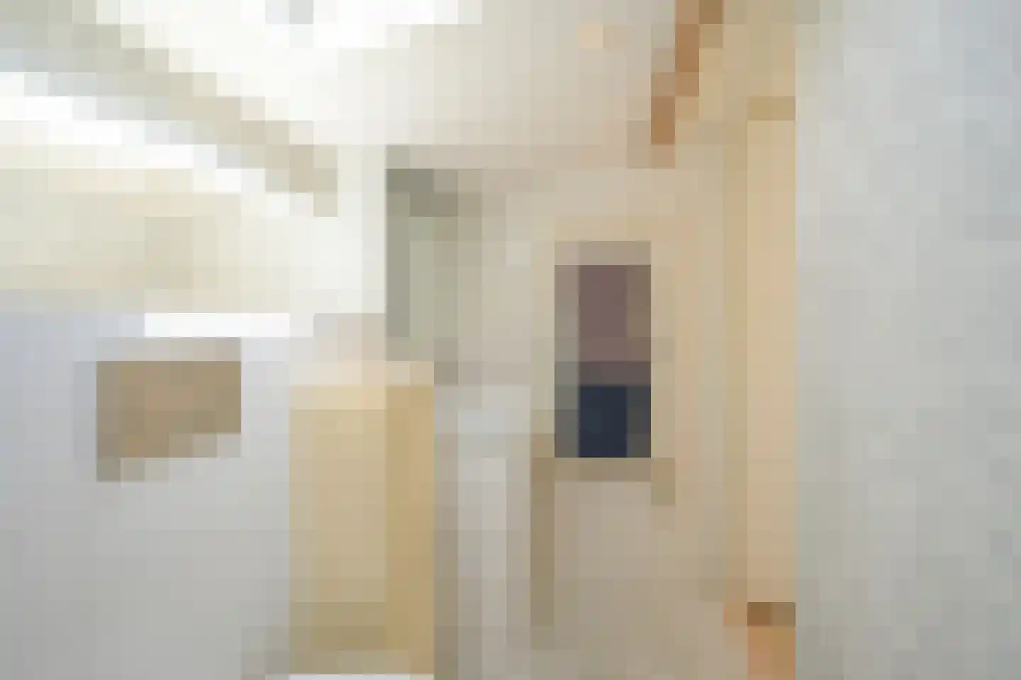 Laan Copes van Cattenburch 46 C Den Haag thumbnail 57