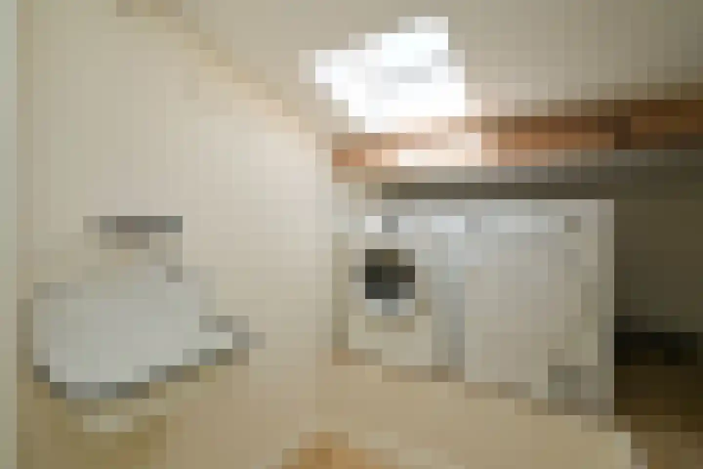 Laan Copes van Cattenburch 46 C Den Haag thumbnail 58