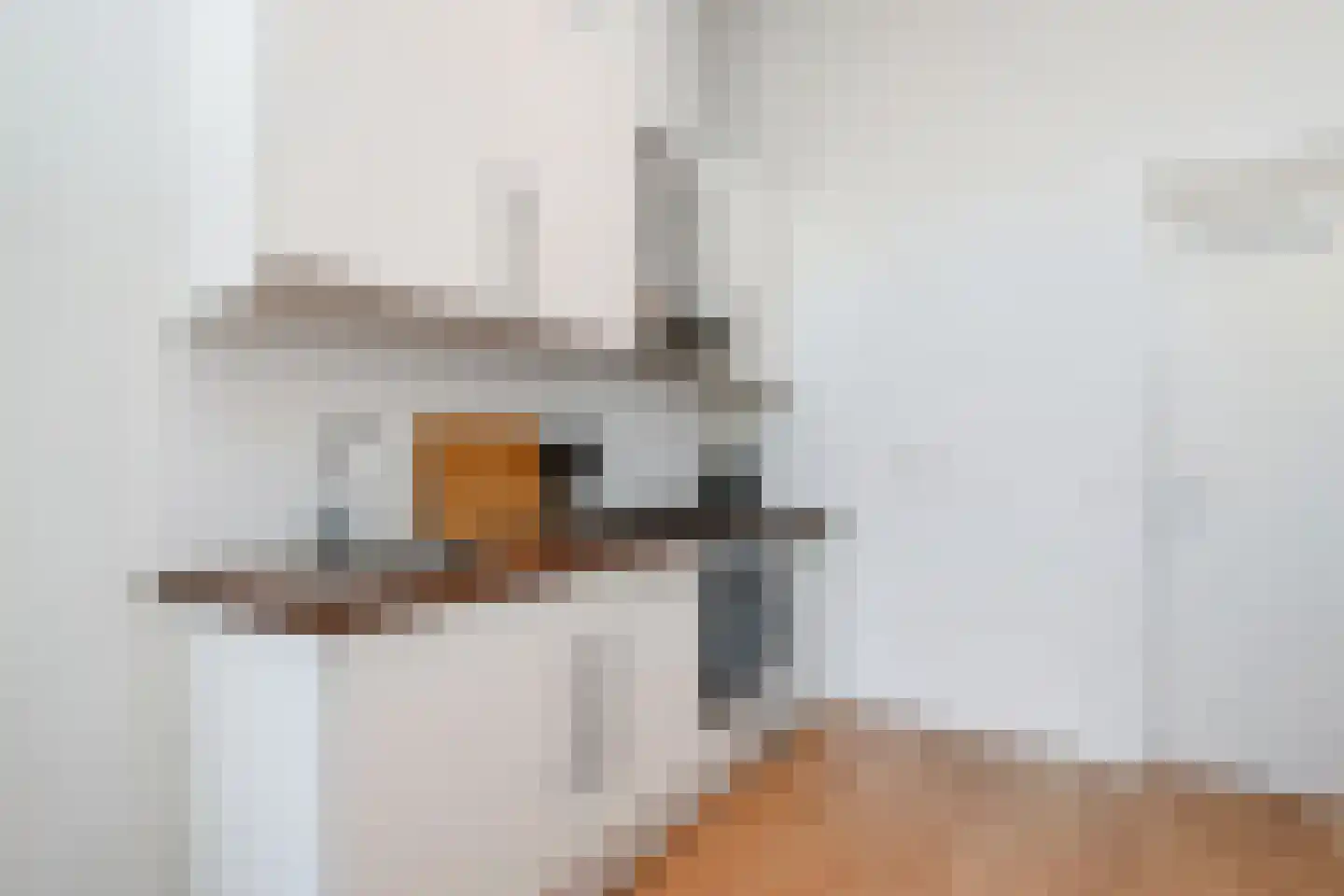 Laan Copes van Cattenburch 54 G Den Haag thumbnail 12