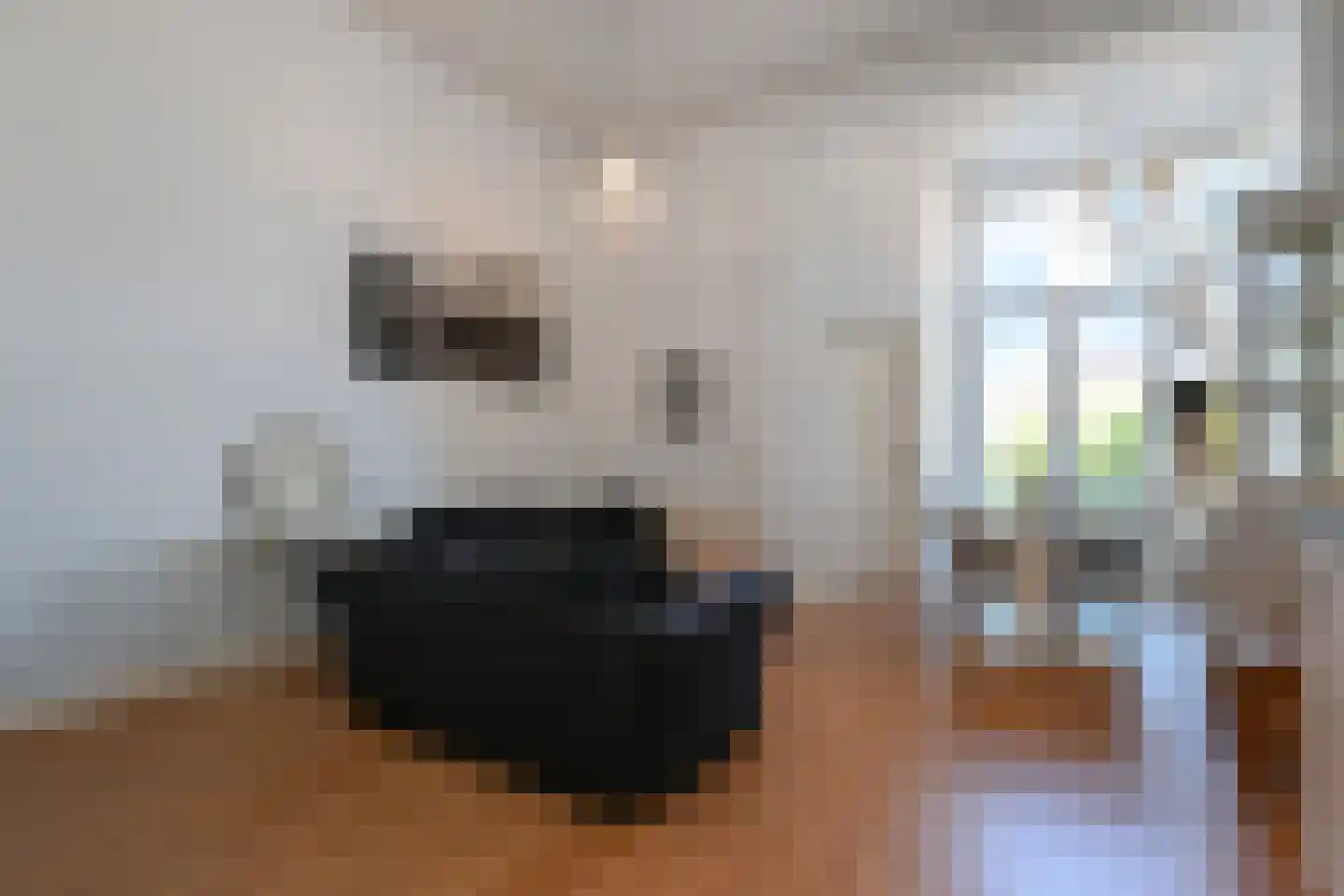 Laan Copes van Cattenburch 54 G Den Haag thumbnail 4