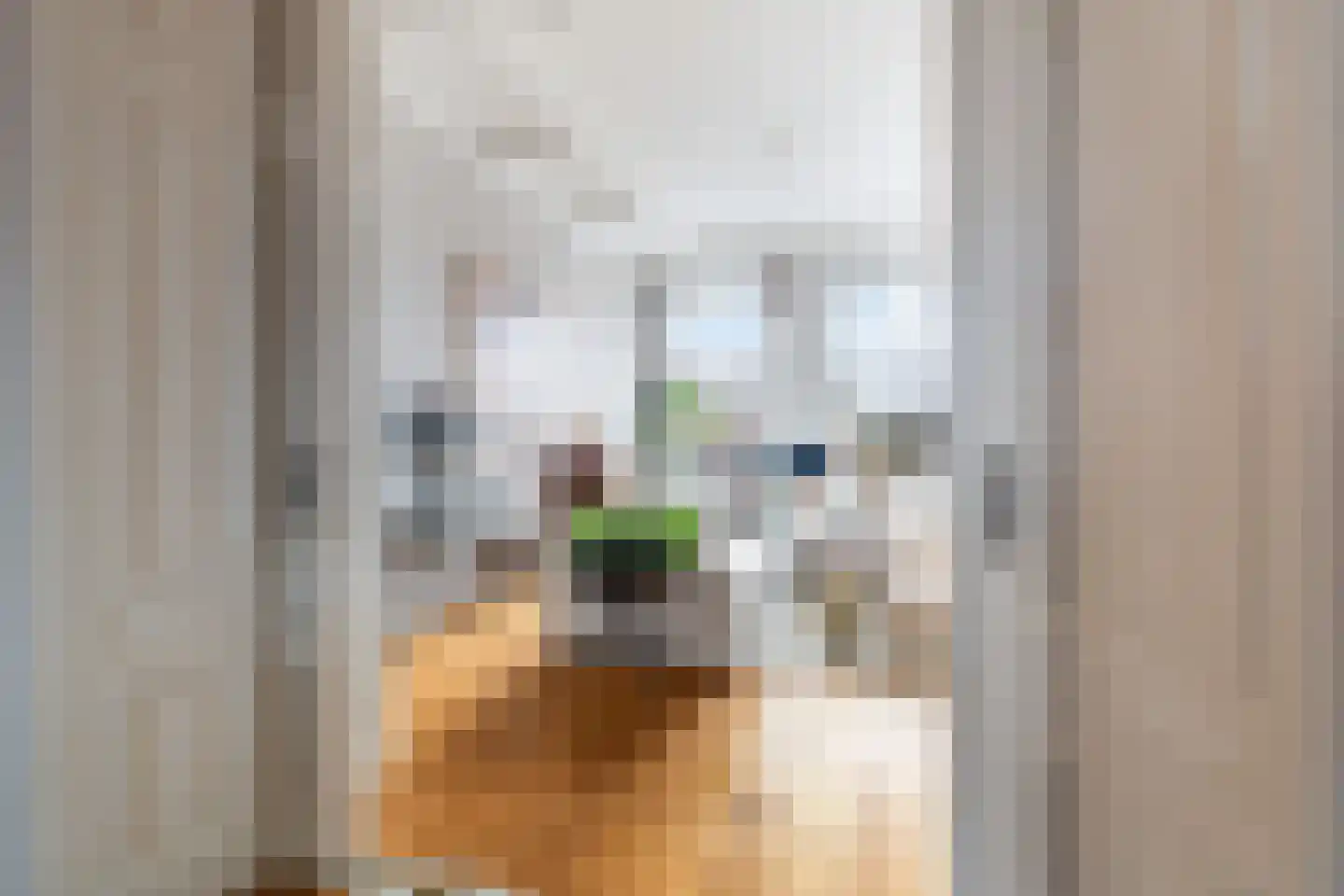 Laan Copes van Cattenburch 60 B Den Haag thumbnail 18