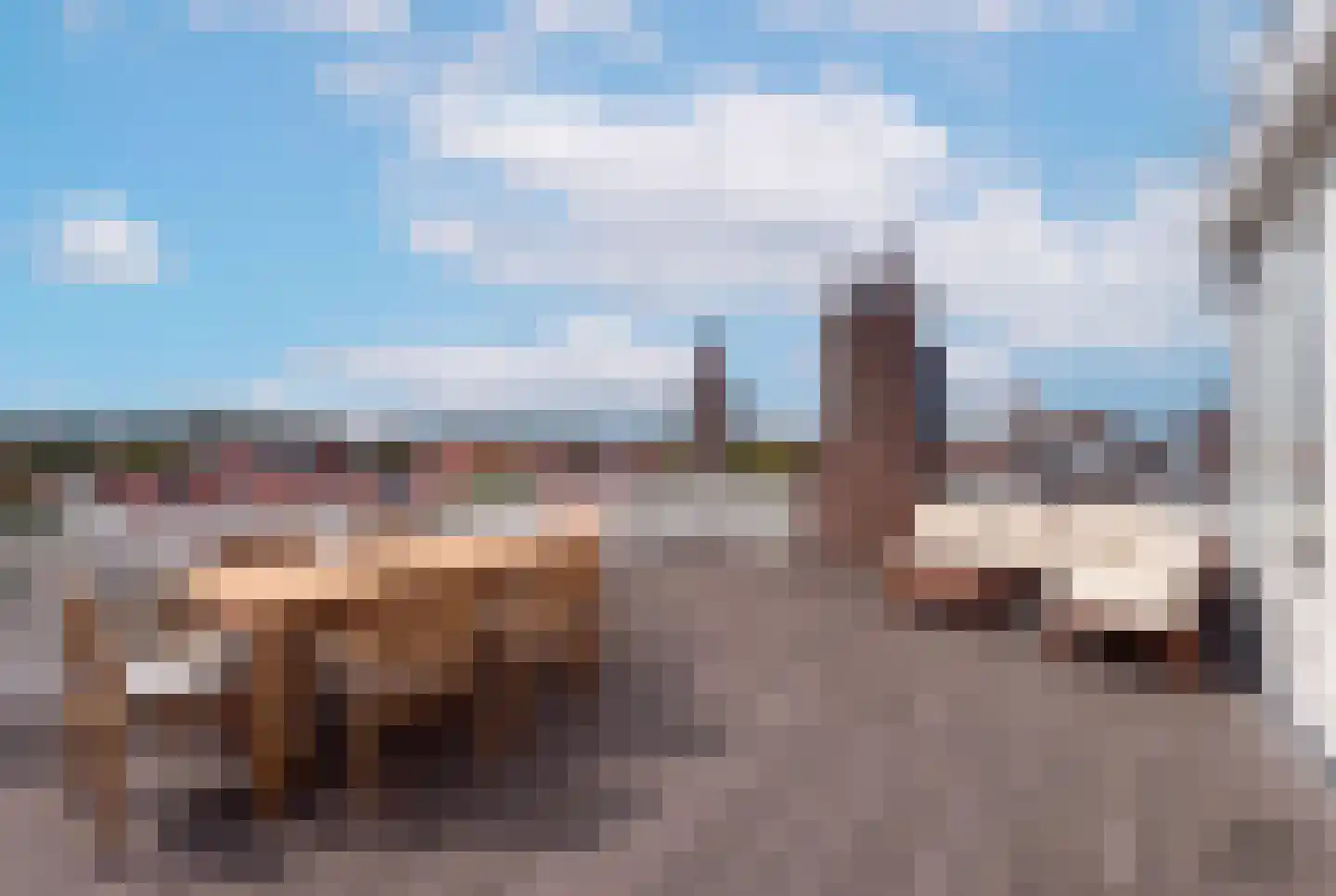 Laan Copes van Cattenburch 62 C Den Haag thumbnail 24