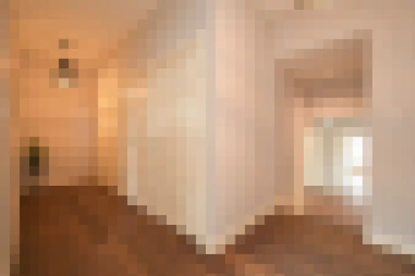 Laan Copes van Cattenburch 62 C Den Haag thumbnail 36