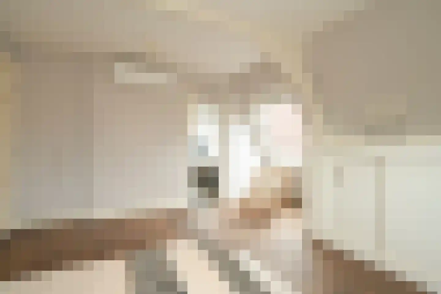 Laan Copes van Cattenburch 62 C Den Haag thumbnail 47